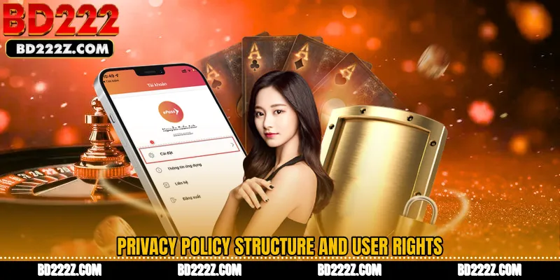 Privacy Policy Structure and User Rights