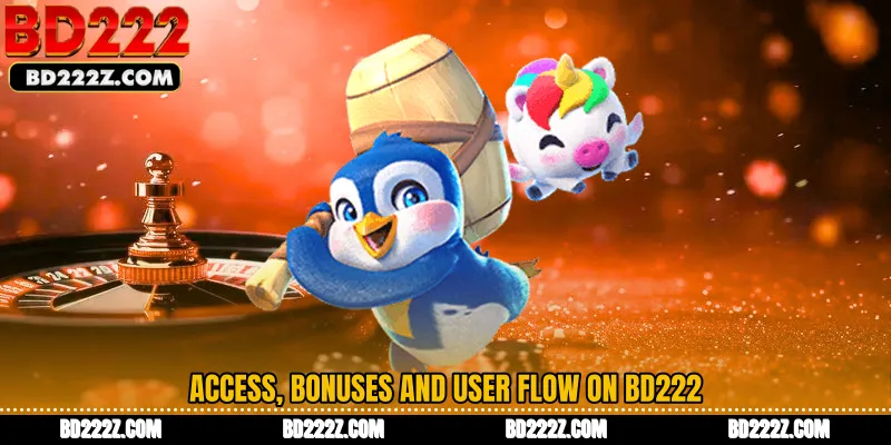 Access, bonuses and user flow on BD222