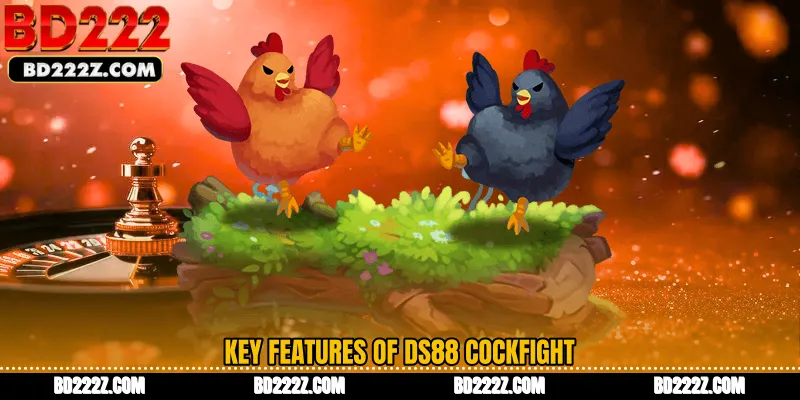 Key Features of DS88 Cockfight
