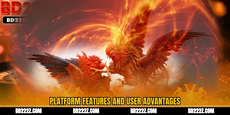 Platform Features and User Advantages
