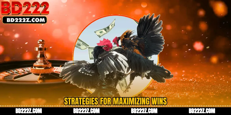 Strategies for Maximizing Wins