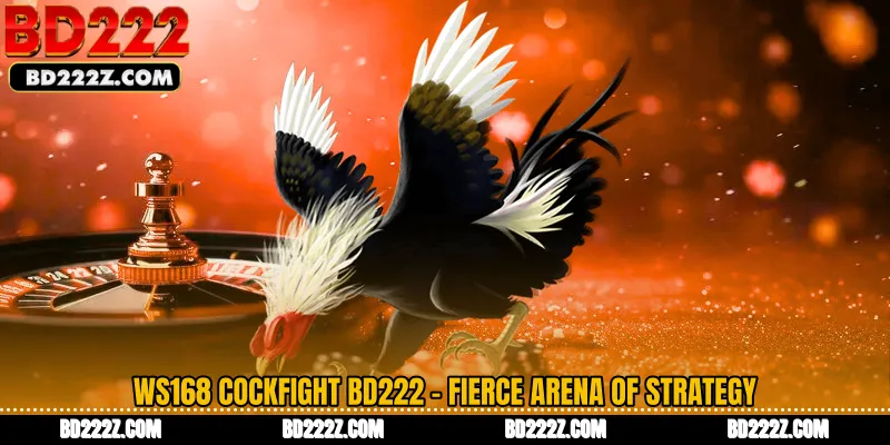 WS168 Cockfight BD222 - Fierce Arena of Strategy